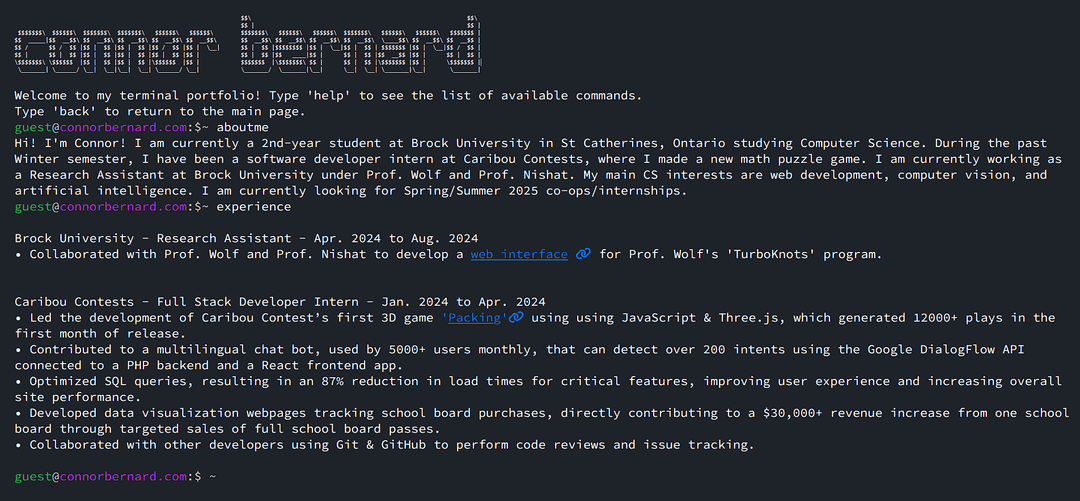 Terminal Portfolio